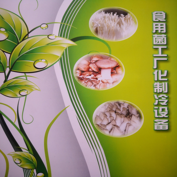 大庆菌类库